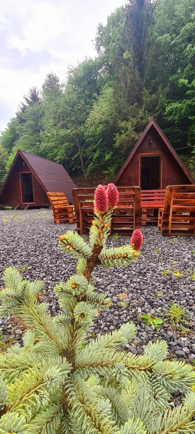 Chalet Moara De Padure Cluj-Napoca