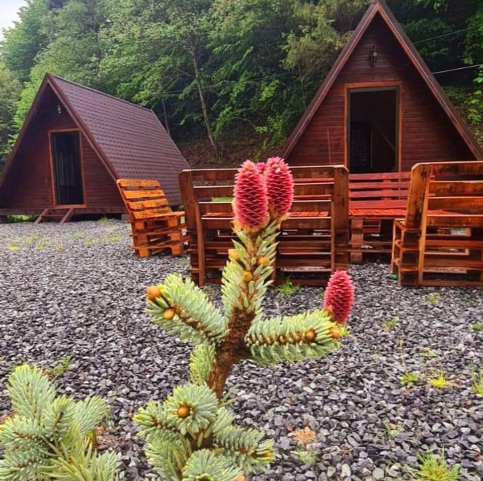 Moara De Padure Chalet Cluj-Napoca